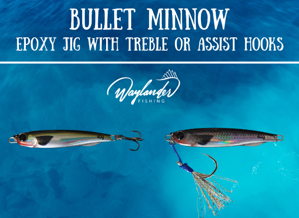 Bullet Minnow epoxy jig fishing lures with hooks.