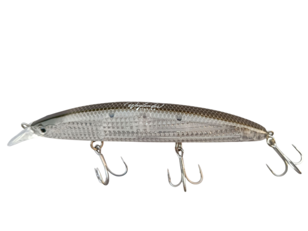 Transparent fishing lure with hooks