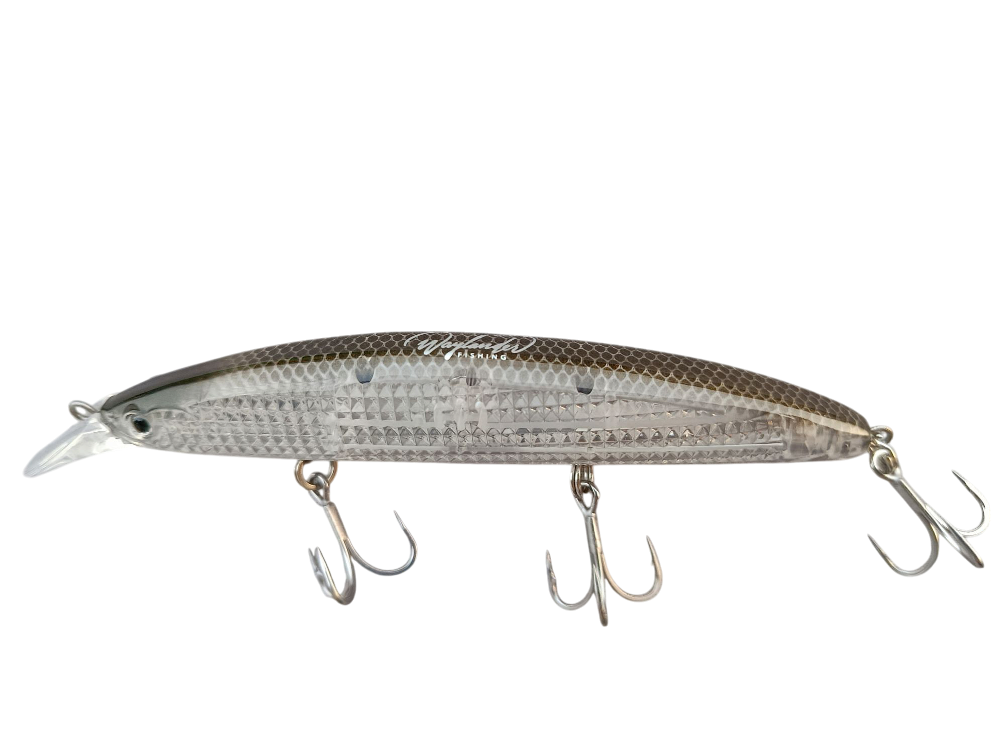 Transparent fishing lure with hooks