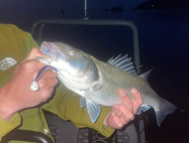Person holding a fish at dusk on boat.