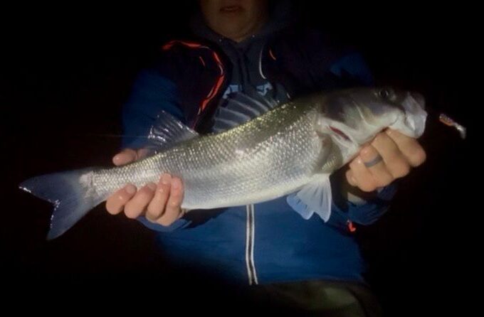Person holding a fish at night.